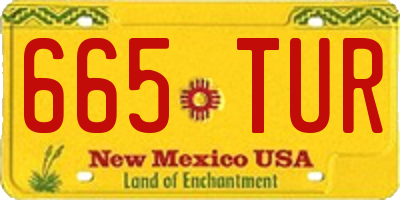 NM license plate 665TUR
