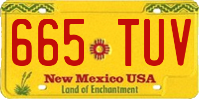 NM license plate 665TUV