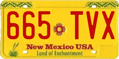 NM license plate 665TVX