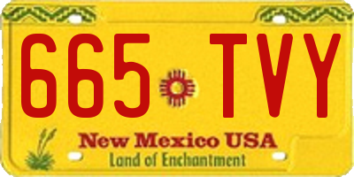 NM license plate 665TVY