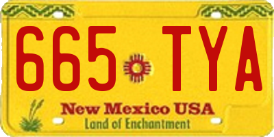 NM license plate 665TYA