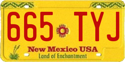 NM license plate 665TYJ