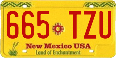 NM license plate 665TZU