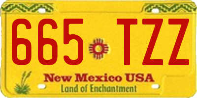 NM license plate 665TZZ