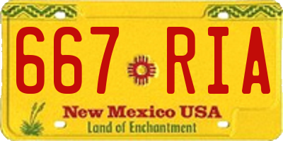 NM license plate 667RIA