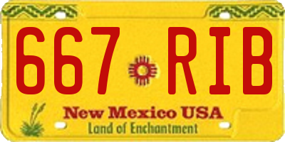 NM license plate 667RIB