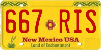 NM license plate 667RIS