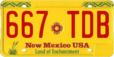 NM license plate 667TDB