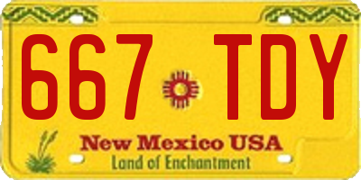 NM license plate 667TDY