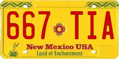 NM license plate 667TIA