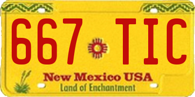 NM license plate 667TIC