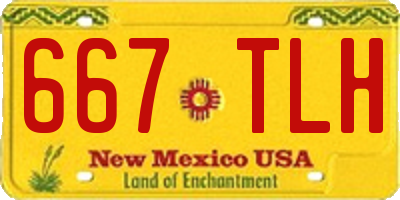NM license plate 667TLH