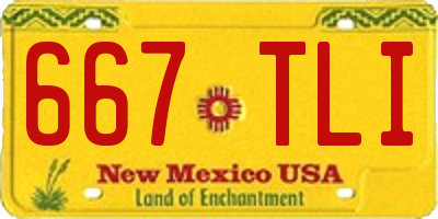 NM license plate 667TLI