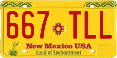 NM license plate 667TLL