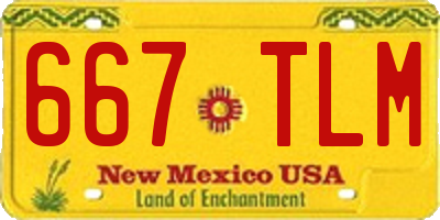 NM license plate 667TLM