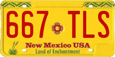 NM license plate 667TLS