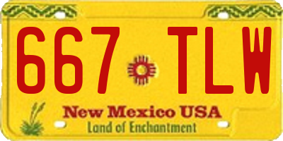 NM license plate 667TLW