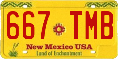 NM license plate 667TMB