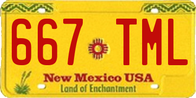 NM license plate 667TML