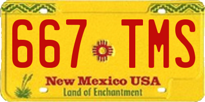 NM license plate 667TMS