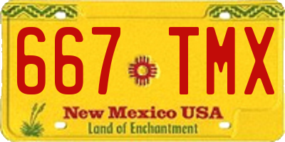 NM license plate 667TMX