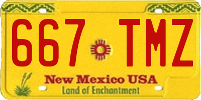 NM license plate 667TMZ