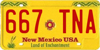 NM license plate 667TNA