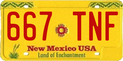 NM license plate 667TNF