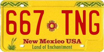 NM license plate 667TNG