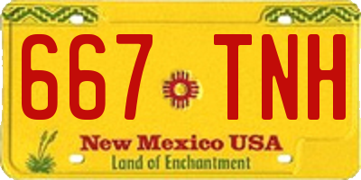 NM license plate 667TNH