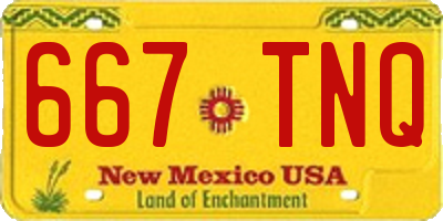 NM license plate 667TNQ