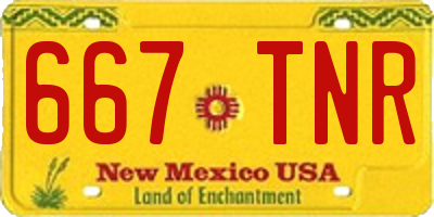 NM license plate 667TNR