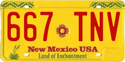 NM license plate 667TNV