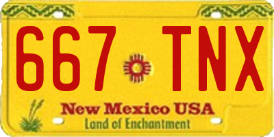 NM license plate 667TNX