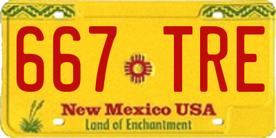 NM license plate 667TRE
