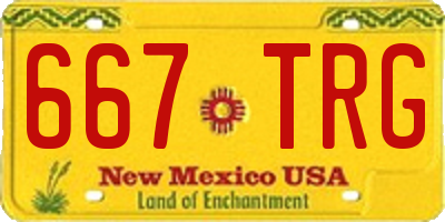 NM license plate 667TRG