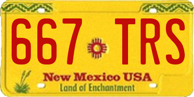 NM license plate 667TRS