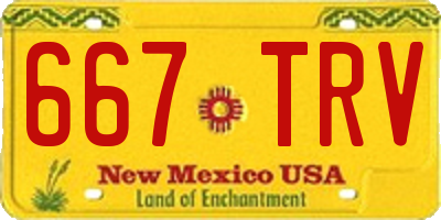 NM license plate 667TRV