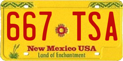 NM license plate 667TSA