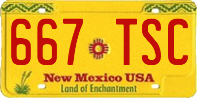 NM license plate 667TSC