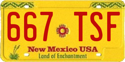 NM license plate 667TSF