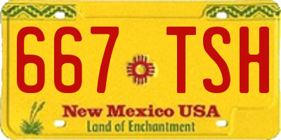 NM license plate 667TSH