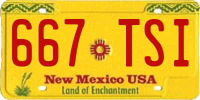 NM license plate 667TSI