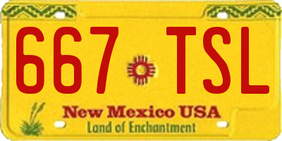 NM license plate 667TSL