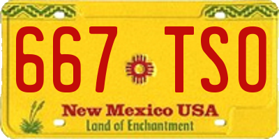 NM license plate 667TSO