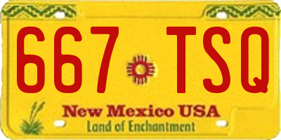 NM license plate 667TSQ