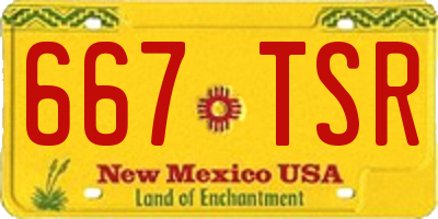 NM license plate 667TSR