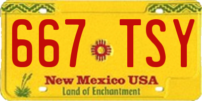 NM license plate 667TSY
