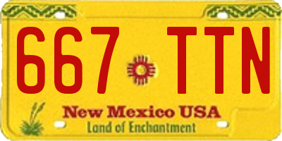 NM license plate 667TTN