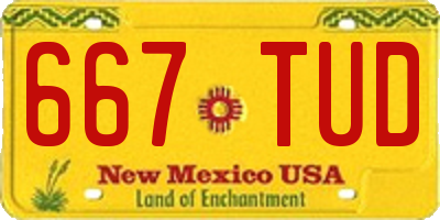 NM license plate 667TUD